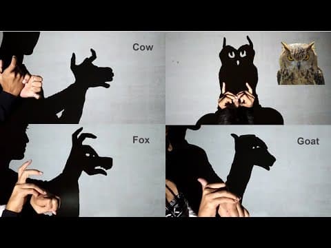 Surprising Animal Hand Shadow Performance