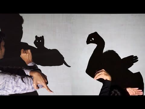 Animal Hand Shadow Performance Showcase