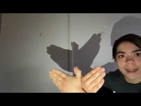 Hand Shadows Workshop with Tracy Becker