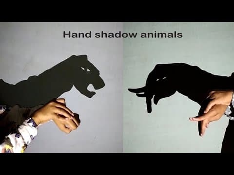 Animal Hand Shadow Puppets Showcase