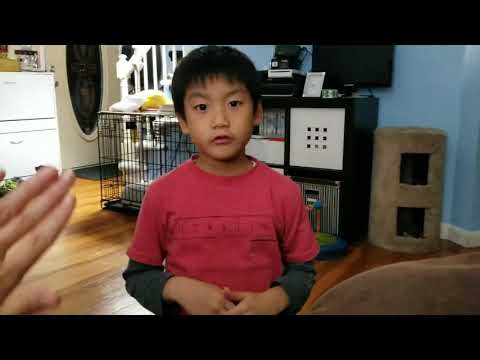 How to Make a Hand Shadow Alligator