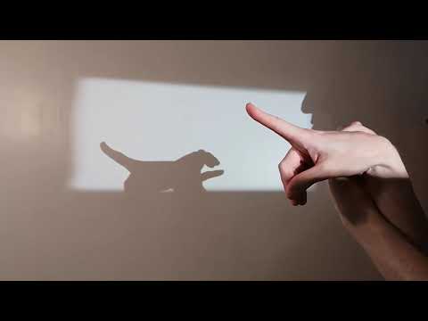 How to Make a Hand Shadow Tiger