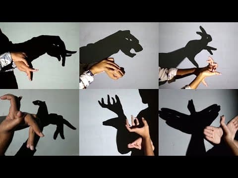 Animal Hand Shadow Performance III