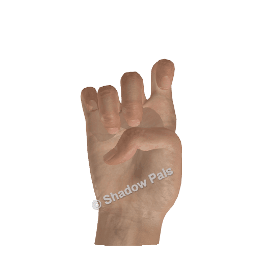 How to Make a Cat Hand Shadow Puppet (One Hand)