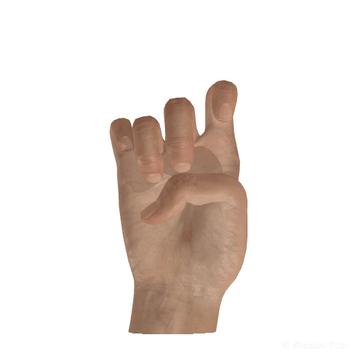 How to Make a Cat Hand Shadow Puppet (One Hand)