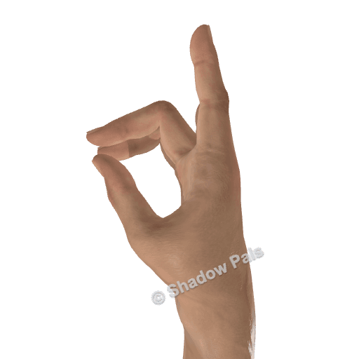 How to Make a Deer Hand Shadow Puppet (One Hand)