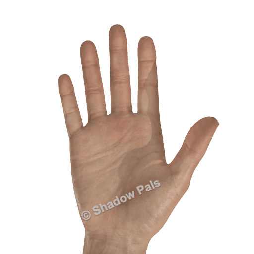 How to Make the OG Open Hand Shadow