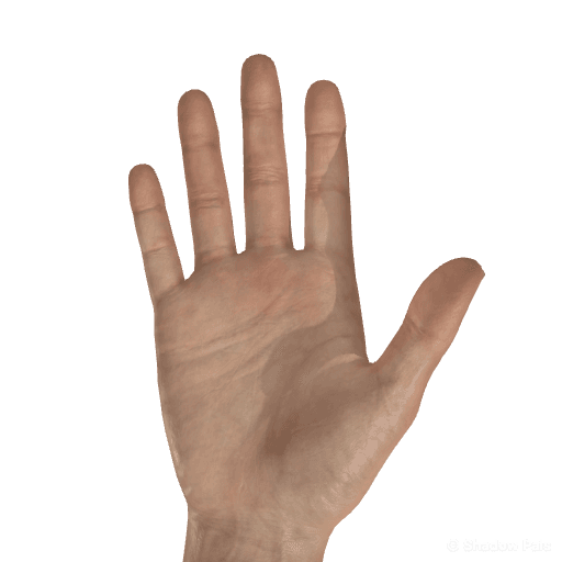 How to Make the OG Open Hand Shadow