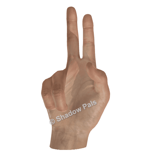 How to Make a Hand Shadow Peace Sign
