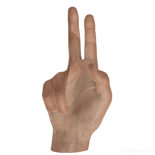 How to Make a Hand Shadow Peace Sign