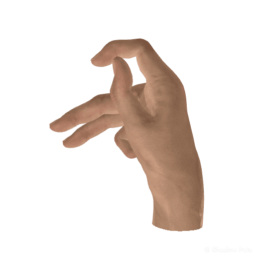 How to Make a Rabbit Hand Shadow Puppet (One Hand)