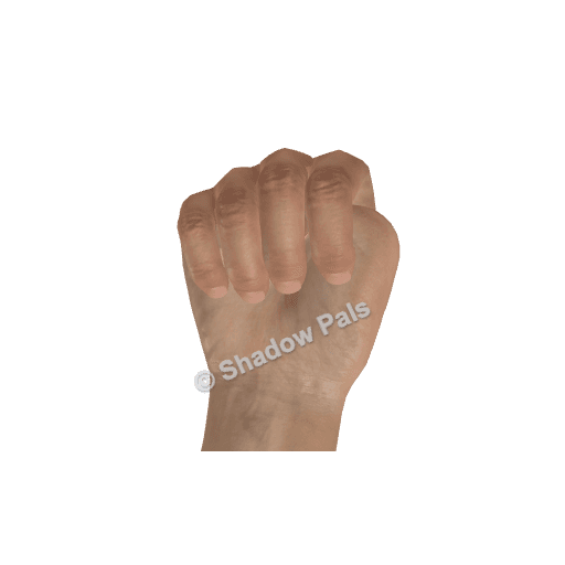 How to Make a Hand Shadow Turtle