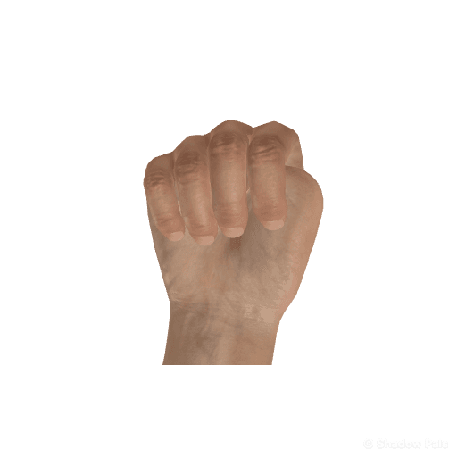 How to Make a Hand Shadow Turtle