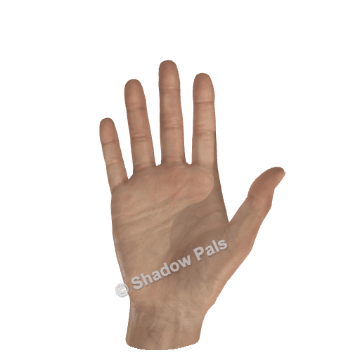 How to Make a Waving Hand Shadow