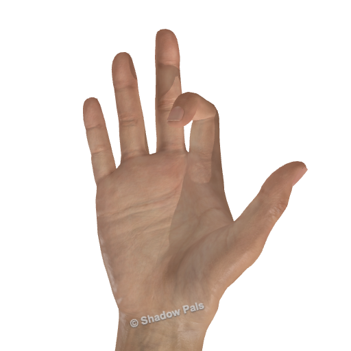 Palm-side view showing the dog pose’s raised thumb, bent index finger, and extended fingers