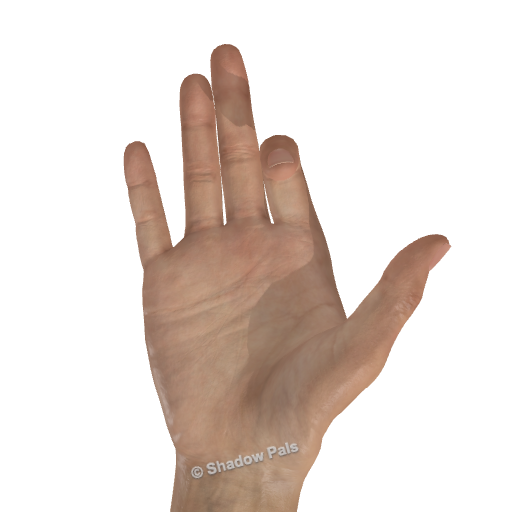 Palm-side view showing the dog pose’s raised thumb, bent index finger, and extended fingers