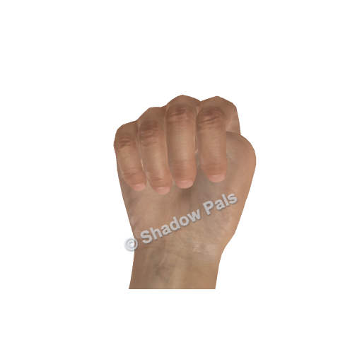 Palm-side reference showing the curled fingers of the hand used for the turtle shell