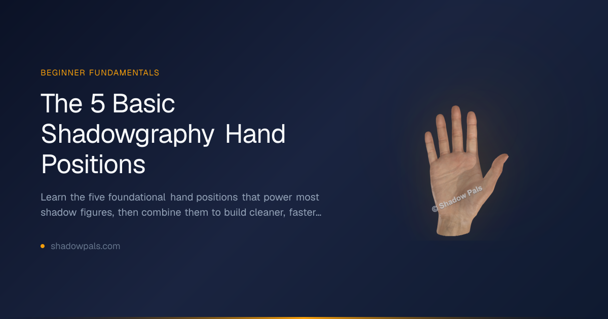 The 5 Basic Shadowgraphy Hand Positions | Shadow Pals